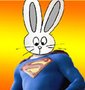 Avatar de superlapin62