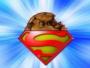 Avatar de Super Cookies