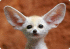 Avatar de macfennec